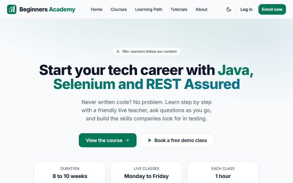 The Beginners Academy home page